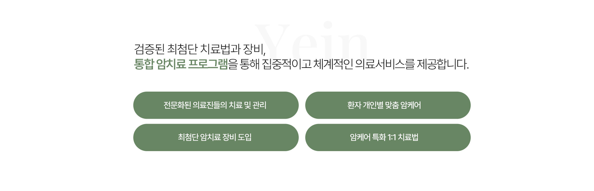 통합암치료 의료서비스