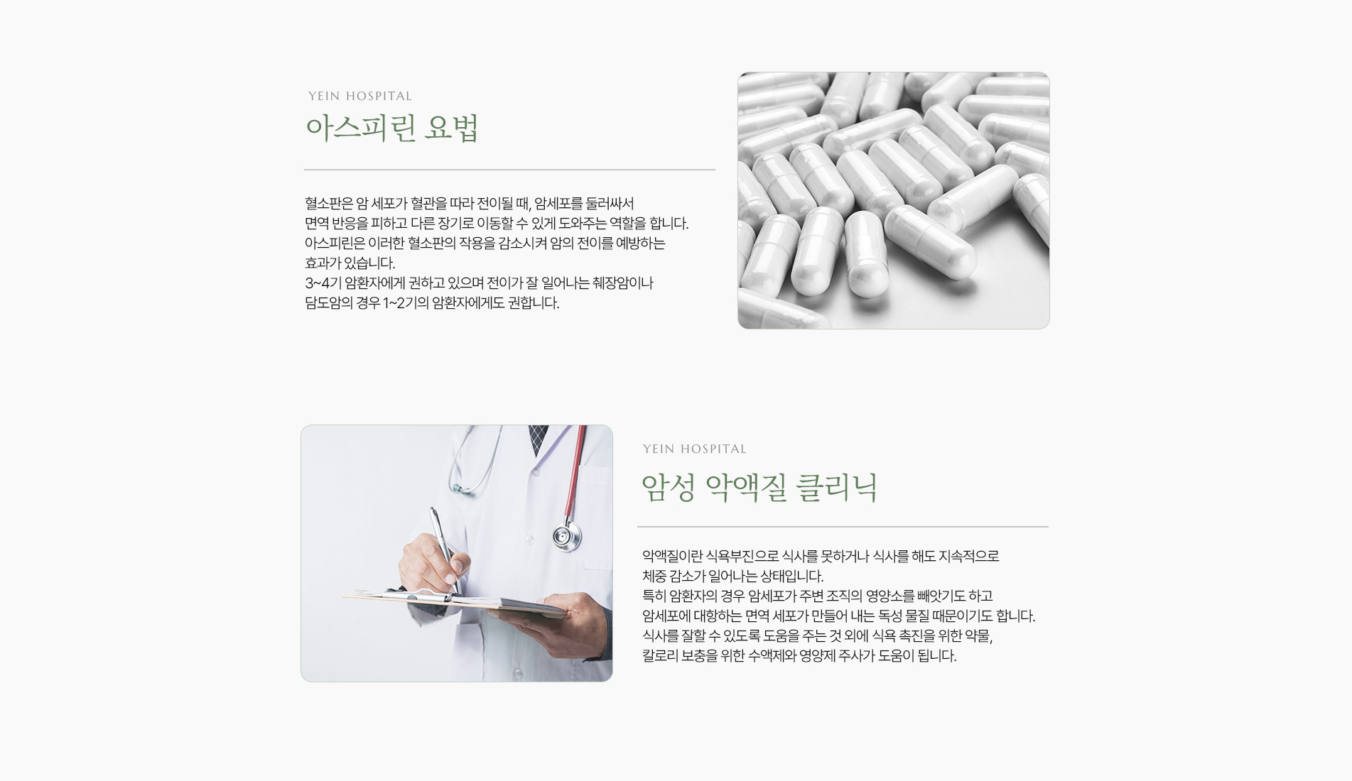 통합암치료 그 외 요법
