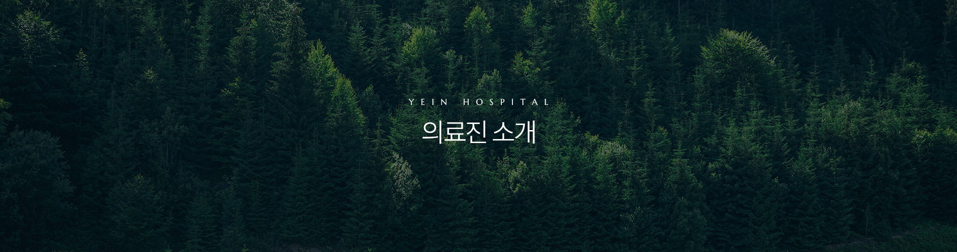 의료진소개 상단