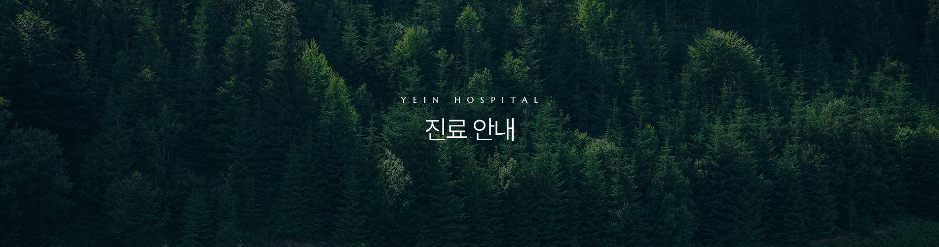 진료시간 상단
